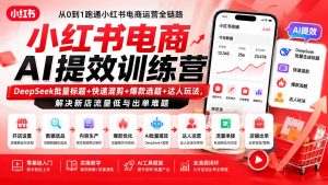 小红书电商AI提效训练营—DeepSeek批量标题+快速混剪+爆款选题+达人玩法,解决新店流量低与出单难题-资源站