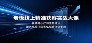 老板线上精准获客实战大课:视频号小红书流量打法,矩阵规模化获客私域转化全干货-资源站