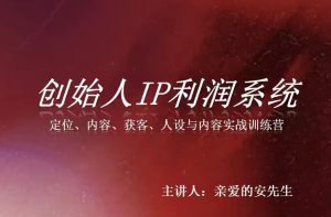 创始人IP利润系统8月训练营,定位、内容、获客、人设与内容实战训练营-资源站
