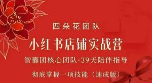 四朵花-小红书店铺专项实战营,专项类目开店跑通全流程,彻底掌握一项技能(速成版)-资源站