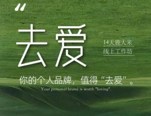 去爱14天鹿大米线上工作坊,你的个人品牌,值得“去爱”-资源站