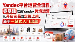 Yandex平台运营全流程，零基础吃透Yandex跨境运营，从开店选品到定价上架，新手一站式入门出单-资源站